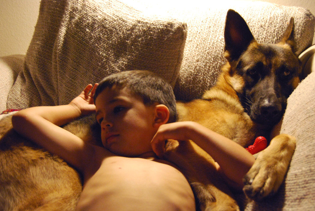 Boy's Best Friend