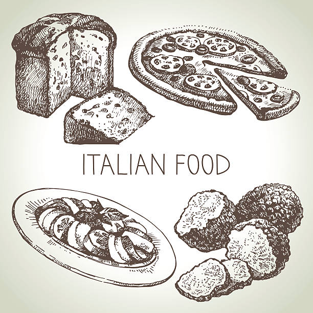 ilustraciones, imágenes clip art, dibujos animados e iconos de stock de dibujados a mano dibujo comida italiana set.vector medio - trufas frescas