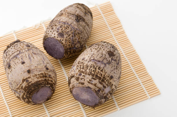 Ta-nm,Japanese Taro, Ta-nm,Japanese Taro, tuber macrosporum stock pictures, royalty-free photos & images