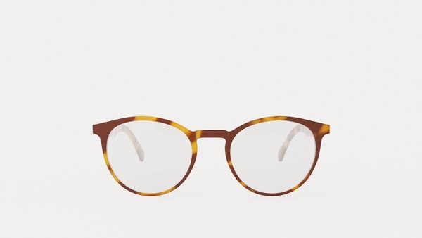 Designer Prescription Glasses 3D model