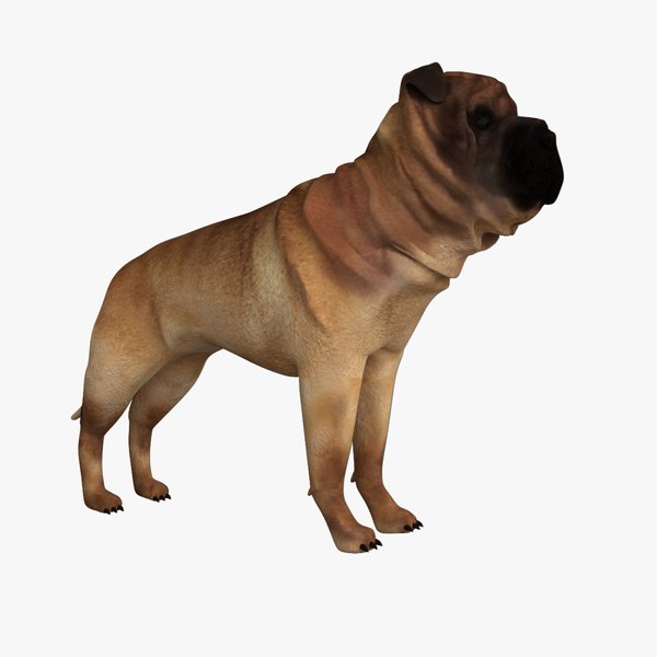 3d ori pei dog model