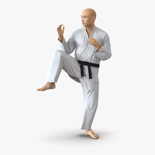 japanese karate fighter pose 3d 3ds