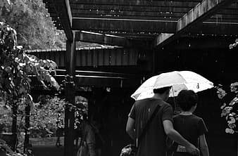 love, couple, relationship, together, romantic, casual, outside, rain, umbrella, moment, dating