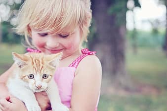 girl, kitten, pet, animal, child, cute, young, little, love, friendship, wallpaper for girls