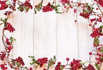 border, frame, text space, red berries, christmas, holiday, winter, vines, decorative