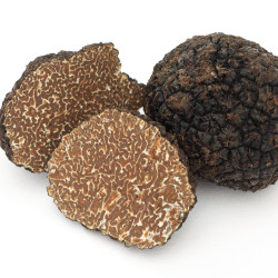 Truffe noire du Périgord : acheter des truffes en ligne